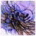 AutoDu8Zoons's Avatar